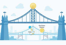 2025 Cross-Chain Bridge Security Audit Guide