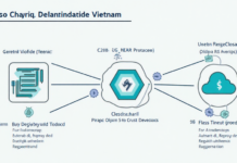 NEAR Protocol Development Vietnam: Bridging Blockchain Gaps