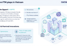 2025 Fantom FTM dApps Vietnam Insights
